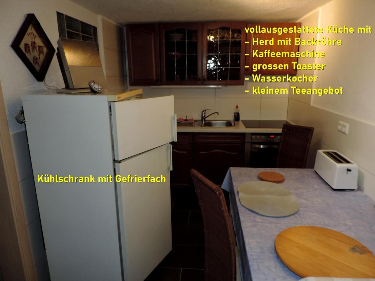 Die Ferienwohnung - Wittenberg An Den Elbwiesen Εξωτερικό φωτογραφία