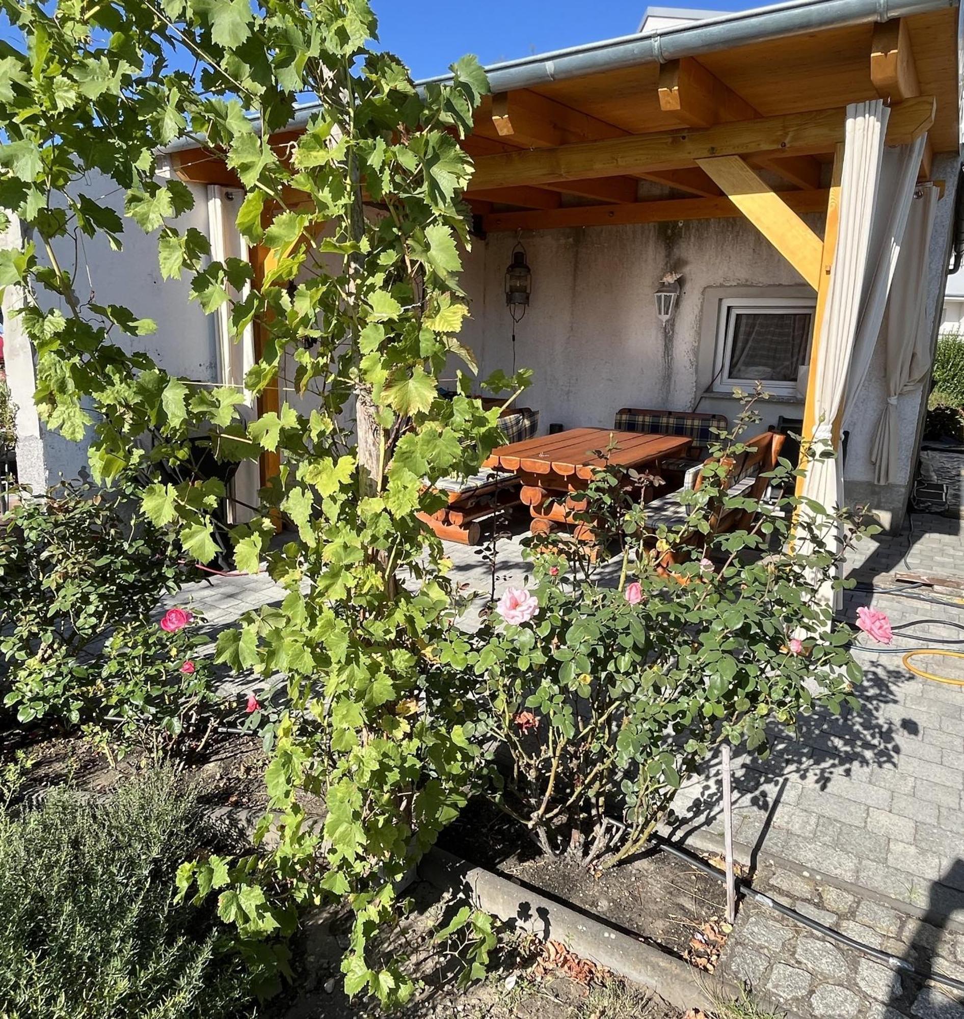 Die Ferienwohnung - Wittenberg An Den Elbwiesen Εξωτερικό φωτογραφία